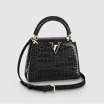Capucines Mini N93429