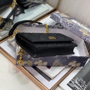 dcc20cano-8