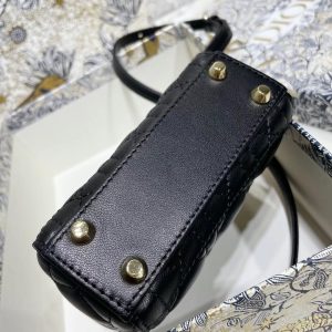 dld12lano-4